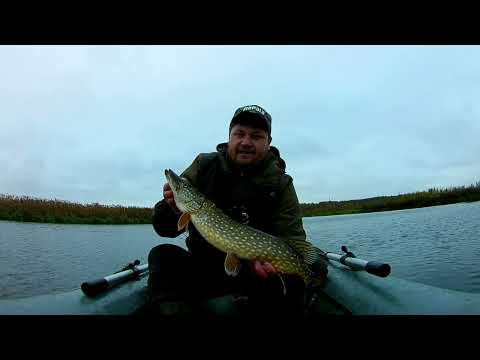 Видео: ОДНА ЗА ОДНОЙ.ЛОВЛЯ ЩУКИ НА ЖИВЦА. РЫБАЛКА НА КРУЖКИ.