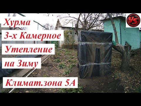 Видео: Хурма 3-х Камерное Утепление на Зиму - климат зона 5А