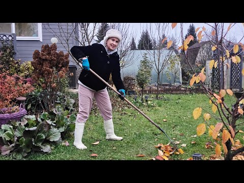 Видео: 1 ноября дача | страшный зверь на кухне, режу посконник, убираюсь в цветнике
