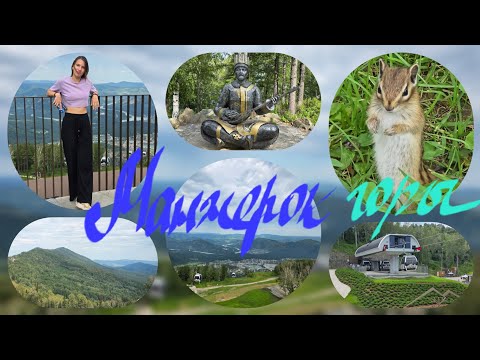 Видео: Манжерок, канатная дорога #travel #nature #2025