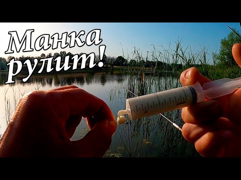 Видео: ПЯТЬ советов по ловле КАРАСЯ на МАНКУ!!!