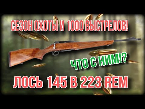 Видео: ЛОСЬ 145 в калибре 223rem.  Сезон охоты и 1000 выстрелов-что с ним...