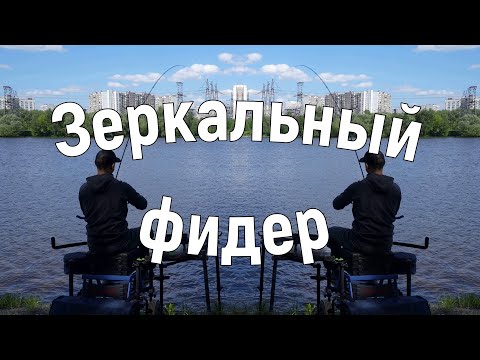Видео: Зеркальный фидер