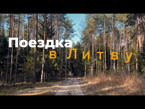 Видео: Литва удивила! Прекрасный Вильнюс! Лес! Старый Город! Деревня!