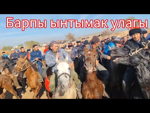 Видео: Барпы ынтымак улагы