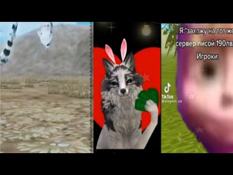 Видео: Подборка WildCraft TikTok 1#