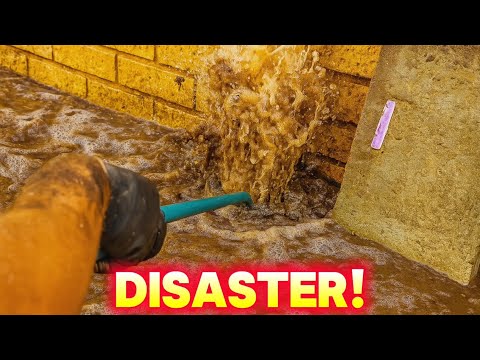 Видео: Хозяин был недоволен после того, как я прочистил сток!