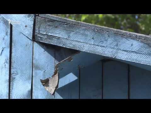 Видео: Алыкулдун үй-музейи кейиштүү абалда