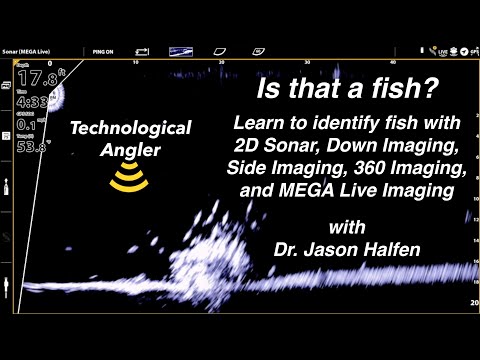 Видео: Это рыба? \ Как определить рыбу с помощью эхолота \ Технологический рыболов