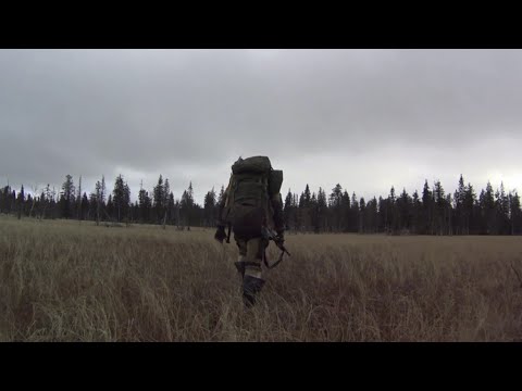 Видео: 50 дней в тайге Прикамья.  Бродяги Севера. Часть 1