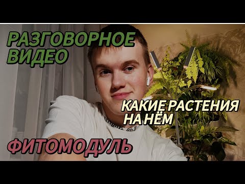 Видео: ОБЗОР: МОЙ ФИТОМОДУЛЬ | ПОЛИВ | КАКИЕ РАСТЕНИЯ НА НЕМ РАСТУТ