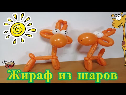 Видео: Жираф из воздушных шаров