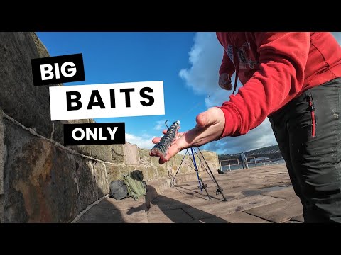 Видео: Рыбалка на пирсе Уайтхейвен при сильном западном ветре. РАЗДАЧА оснасток