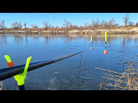 Видео: Поплавок 2025. Рибачим з сестрою на поплавочні вудки. Зимова тарань на Дністрі Маяки