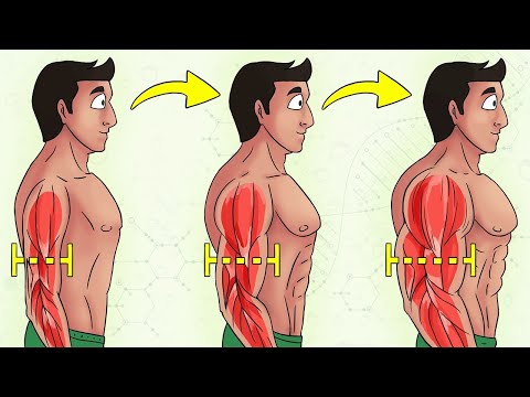 Видео: Как работает Предварительное Утомление Мышц важный прием