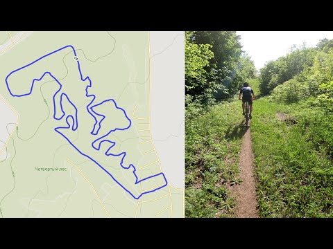 Видео: ХСО круг в 4 лесу 2023