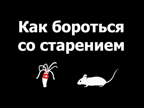 Видео: Голодные мыши не стареют. Александр Панчин на QWERTY