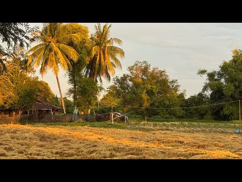 Видео: СССР😄🙏🏼 #ссср #рф 