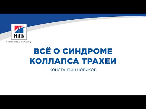 Видео: Вебинар на тему: «Всё о синдроме коллапса трахеи». Лектор - Константин Новиков.