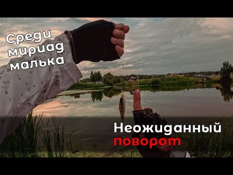 Видео: Смена планов и неожиданный мормышинг с Maximus Pointer X Travel Jig 21UL