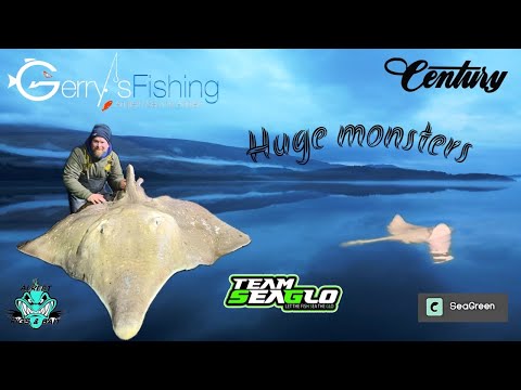 Видео: ОГРОМНЫЙ СКАТ, морская рыбалка 2024, последняя кампания сезона