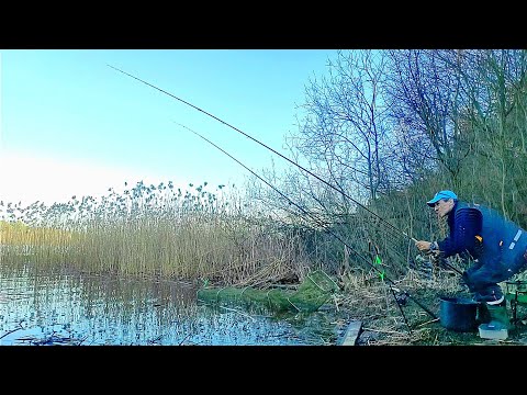 Видео: Река оживает.Рыба заходит на тепло.Проверка уловистым мест.Начинается ловля Синца.