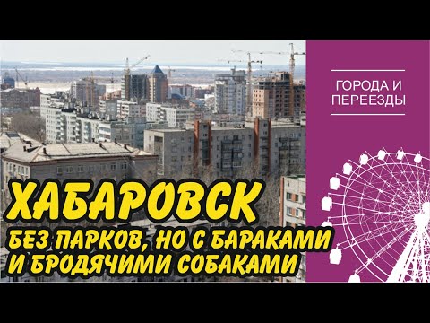 Видео: Хабаровск без парков и тротуаров, но с бараками и бродячими псами