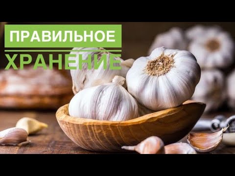 Видео: Как правильно хранить чеснок?