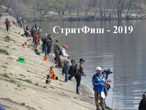 Видео: Турнир спиннинг с берега СтритФиш Воронеж 2019