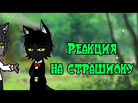 Видео: gacha Nymph.Реакция оборотня и волка на страшилку 'счастье в тараканах'.