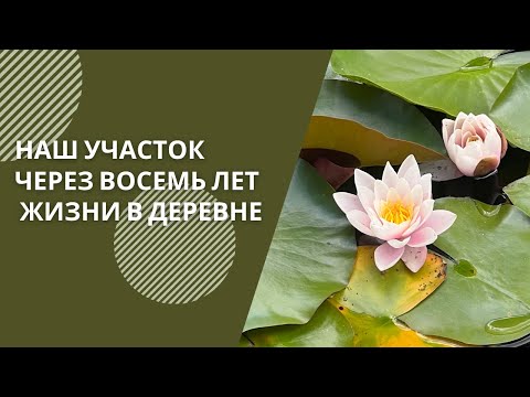 Видео: Как изменился наш участок спустя 8 лет жизни в деревне VLOG