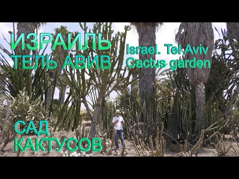 Видео: Израиль | Тель Авив | Сад кактусов | Israel | Tel Aviv | Cactus garden