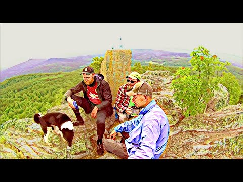 Видео: Уральский барс 2 этап. ИСТОРИЯ ОДНОЙ СОБАКИ. часть 1