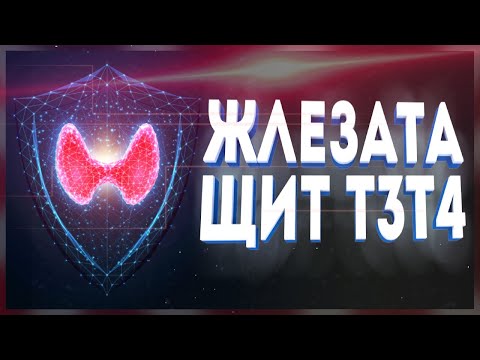 Видео: Щитовидна жлеза. Т3, Т4. Хипотиреоидизъм. Хипертиреоидизъм.
