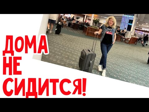 Видео: 🔴Опять в аэропорту, ЗАБЫЛА ЧЕМОДАН #натальяфальконе #сша