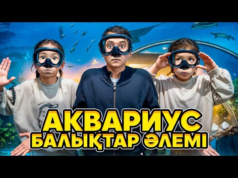 Видео: 😱ЕҢ ҮЛКЕН АКВАРИУМДА🐠🐟 НЕ БАР?😍| АКОН&МАКОН НАҒЫЗ СУ ПАТШАЛЫҒЫНДА🌊👑| @irbayevy_life🌏| @kopzhasarovy🥰