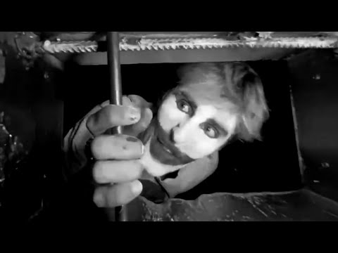 Видео: брамо посадили на 5 лет