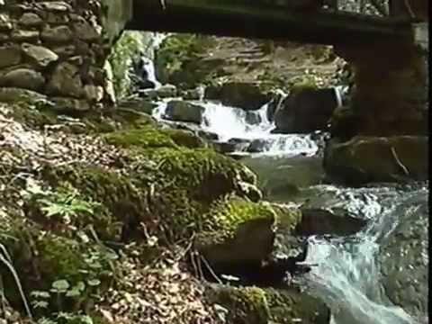 Видео: Водопад Скока Еко пътека Тетевен р Козница  15 07 2013