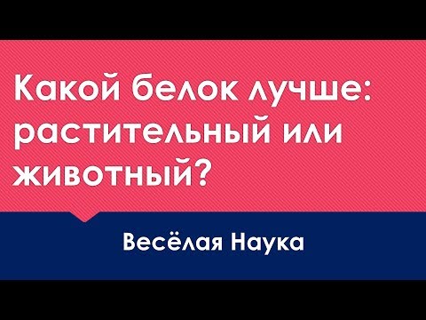Видео: КАКОЙ БЕЛОК ЛУЧШЕ: РАСТИТЕЛЬНЫЙ ИЛИ ЖИВОТНЫЙ?