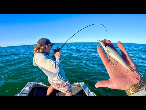 Видео: Рыбалка везде! БЕЗУМНАЯ прибрежная и речная рыбалка