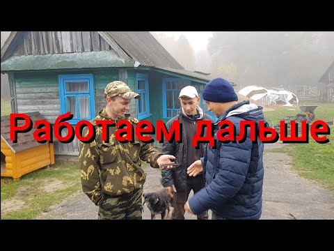 Видео: Я думал они не вернутся никогда .