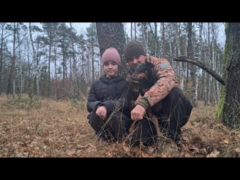 Видео: Ідемо до лісу по " берест" Бакс пригнав косулю прямо до нас.
