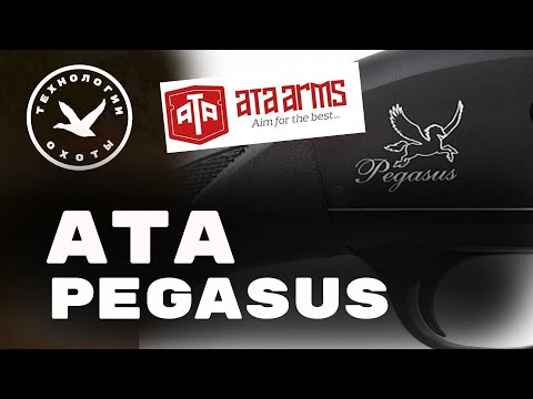 Видео: Ata Pegasus. Первая короткая тренировка на стенде.