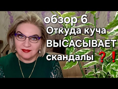 Видео: Откуда куча ВЫСАСЫВАЕТ скандалы❓️