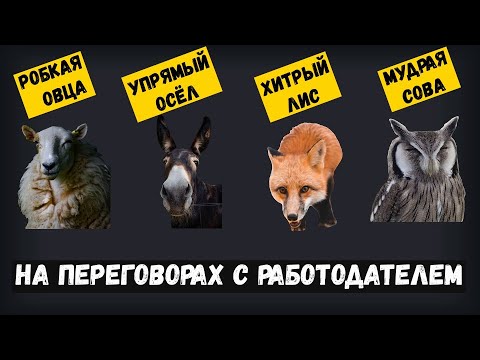 Видео: 4 переговорные модели ...  но 70% кандидатов используют две наименее эффективные из них
