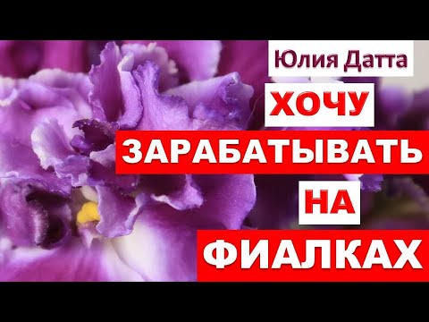 Видео: Бизнес на фиалках. Хочу зарабатывать на фиалках. Сколько нужно сортов фиалок. Юлия Датта