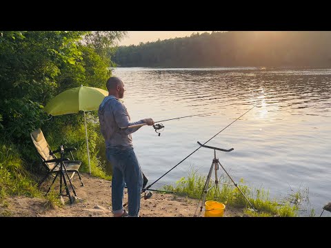 Видео: Риболовля 🎣 на Десні в Погребах. Лящові місця. Червень 2025.