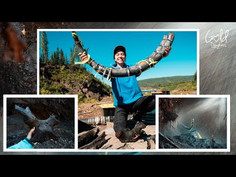 Видео: НЕВЕРОЯТНЫЙ бивень шерстистого мамонта найден во льду на кладбище Boneyard Alaska