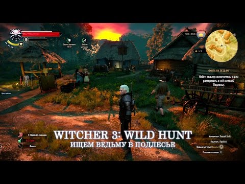 Видео: Witcher 3: Wild Hunt Ищем ведьму в Подлесье