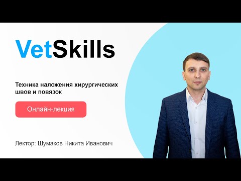 Видео: VetSkills «Техника наложения хирургических швов и повязок»